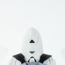 ALK 이미지