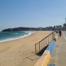 해파랑길 49코스 2부 : 황금물결 찰랑대는 아름다운 화진포 사랑아! 이미지