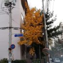 청구빌라앞 이미지