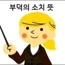 알아두면 좋은 말 부덕의 소치 뜻 확실하게 알기 이미지