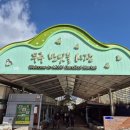 전북 무주 당일치기 여행 맛집 반딧불 시장 피순대 국밥