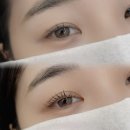 와이오엔 | 마곡나루역 속눈썹펌 와이오브로우 후기