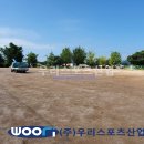 양도초등학교 이미지