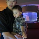 별빛수족관 이미지