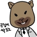 세인트존스호텔 인피니티풀 이미지