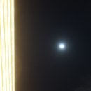 바인블루 이미지