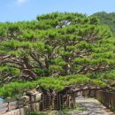 법기수원지 이미지