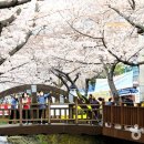 동상공설운동장 티스토리