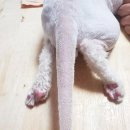 예뻐지냥 이미지