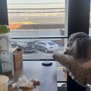 뚝방해물칼국수 이미지