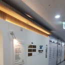 서울베스트의원 이미지