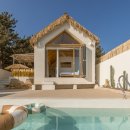 스테이다온 이미지