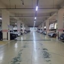 크란츠 스파랜드 이미지