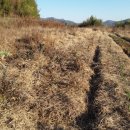 작천농장 이미지