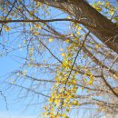 의동마을 이미지