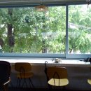 종로-연건-종로-연-146 | [-2507] 토마토가 익으면 카메라를 사요:: CHUZHAO 롤라이플렉스 토이카메라 대만족 후기