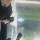 정보따위 없는 다낭2