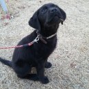 이뻐지는산책 이미지