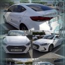 NEW카스토리 이미지