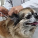 (주)우리메디텍 이미지