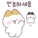 신불날개 이미지