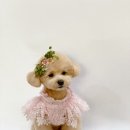 콩공인중개사사무소 이미지