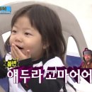 [구례] 뚜벅이 1박2일 여행 | 1일차 첫 번째 | 구례구역에서 구례 터미널 이동 | 빙구례 | 화엄사 (버스...
