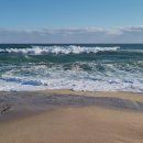 바다정원 이미지