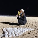 적성어린이집 이미지