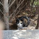 해인약국앞 이미지