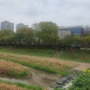 덕풍천서로 이미지