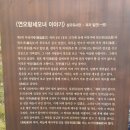 사보이 호텔 이미지