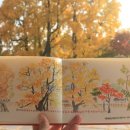 은행나무약국 이미지