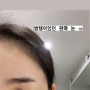 박은영