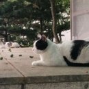성동구청 뒤편 네이버블로그