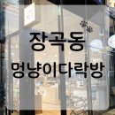 하이몽몽 | 장곡동 24시 무인 반려동물용품점 🐾 “멍냥이다락방” 방문기