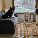 꿈에펜션 이미지