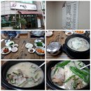 촌돼지 이미지
