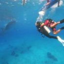 대왕고래 화장실 이미지