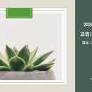 파피루스입시컨설팅 이미지
