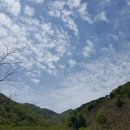 목통산장