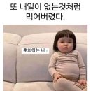 일상(9) 클램차우더 만들기, 라라스윗 저당초코소라빵, 아웃백 런치, 케이크만들기, 설원버섯