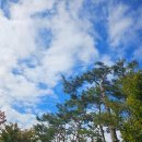 방배숲환경도서관 옥상1 | 국내최초 환경NGO가 위탁운영하는 환경특화 도서관 &#39;서초구립방배숲환경도서관&#39;