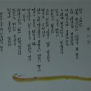 삼박천 Daum카페