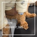 김현태김동민 동물의료센터 | 2025.12.29. 잊을 수 없을 날