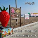 버드내유치원 이미지