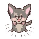 오드리 애견미용실 이미지