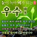 🌸우수(雨水)날 아침! 당신의 봄날을 축복합니다🌸 이미지