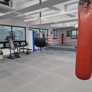 엘리트 복싱 이미지