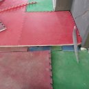 국제킥복싱 이미지